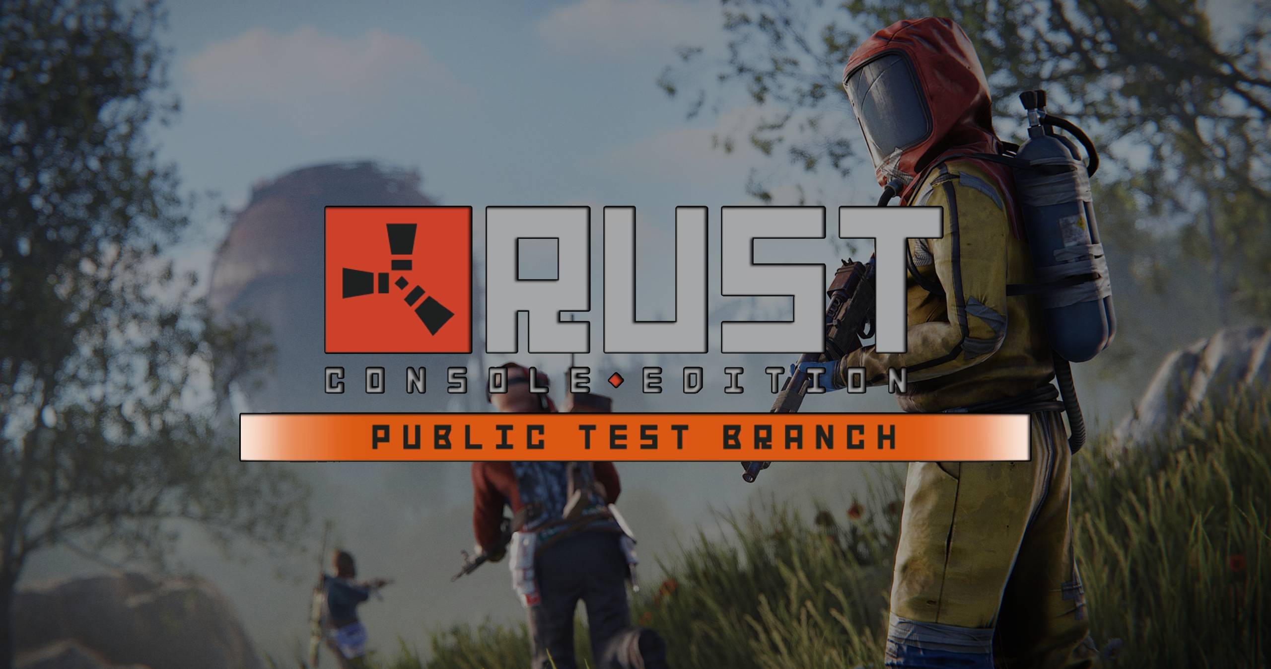 Rust console test branch